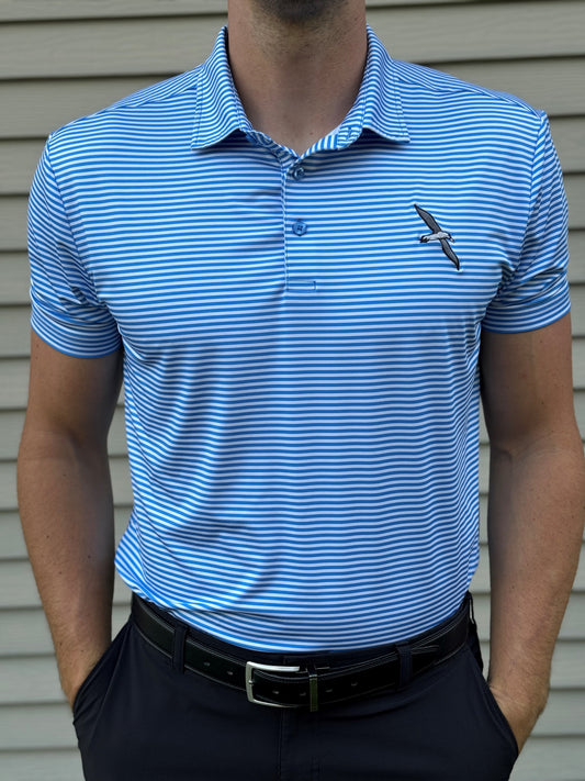 Light Blue and White Stripped Polo