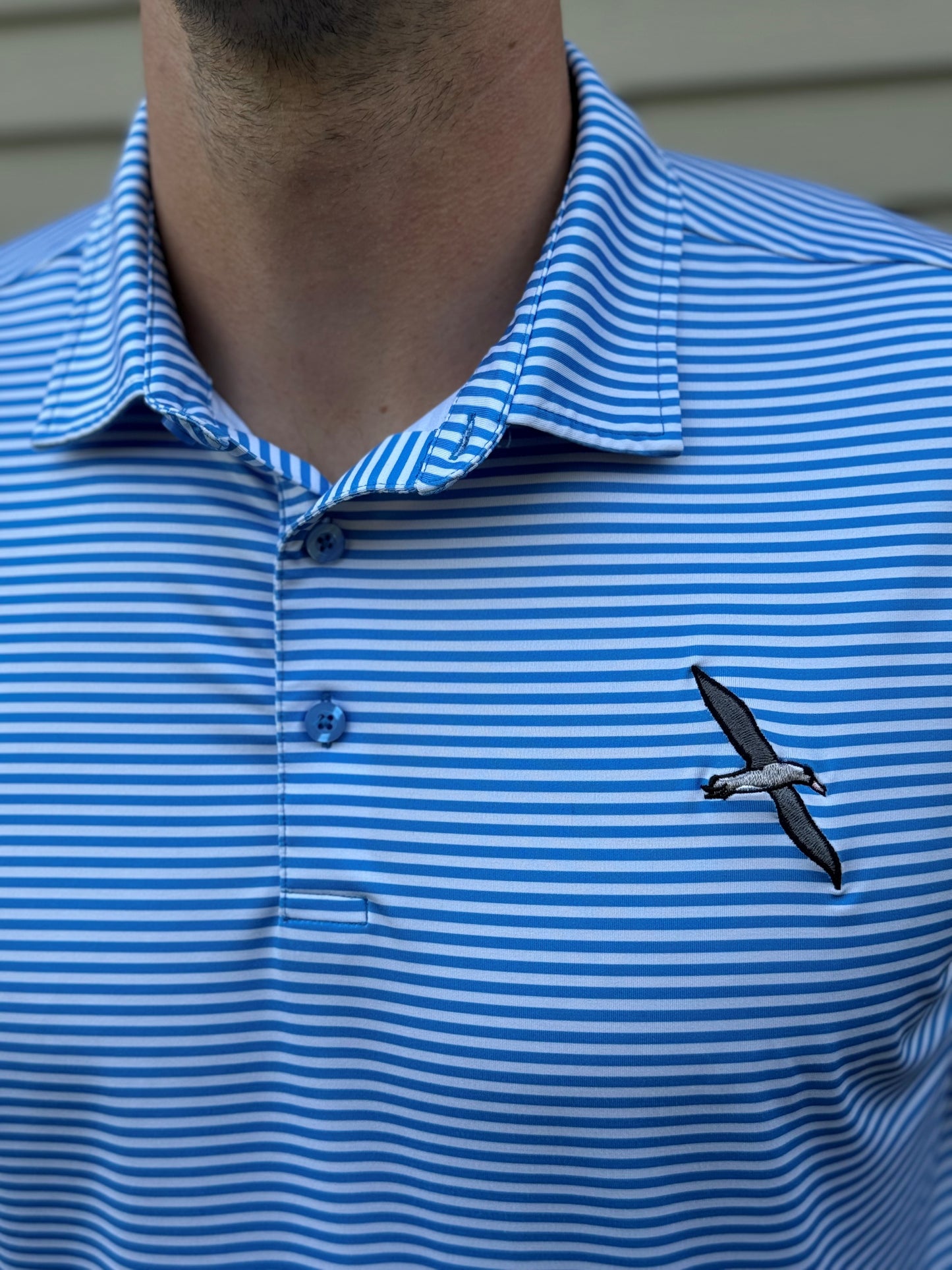 Light Blue and White Stripped Polo